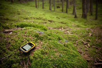 finding the right position in the forest with a gps