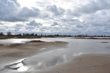 Fototapeta na wymiar winter landscape with lake and blue sky