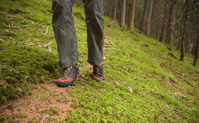 walking in the woods long a path © TonelloPhotography