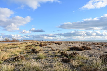 vast of the winter coast