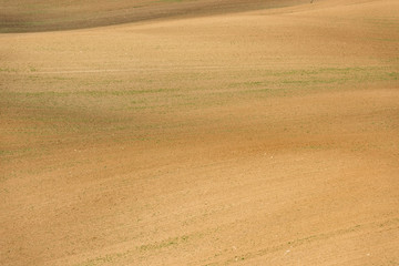 Aerial view of brown ground of field