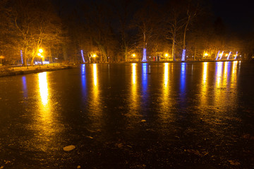 Decorated park by the lake at christmas at night