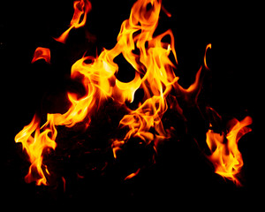 Flame of fire on a black background