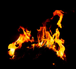 Flame of fire on a black background