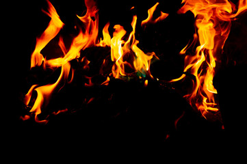 Flame of fire on a black background