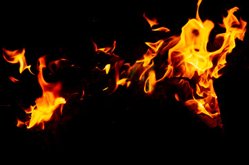 Flame of fire on a black background