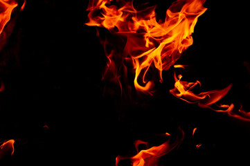Flame of fire on a black background