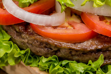 Detail of delicious Hamburger