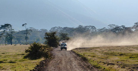4x4 jeep driving in the Ngorongoro Crater near Serengeti National Park, Tanzania, Africa.