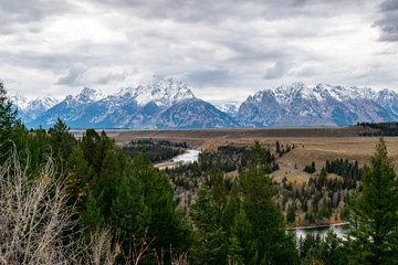 Teton Landscape