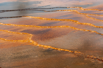 Grand Prismatic Hotsprings  - Yellowstone National Park