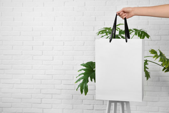 Woman holding paper shopping bag near green plant and brick wall. Mock up for design