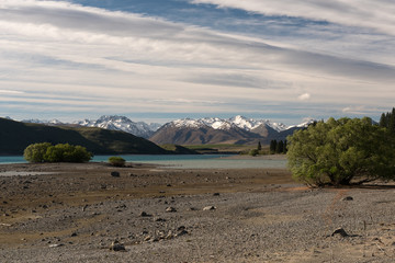 The view across a low Lake Tekapo with the stoney lake bed and willow trees in the foreground and the snow capped Southern Alps in the background. In the Mackenzie Basin, New Zealand.
