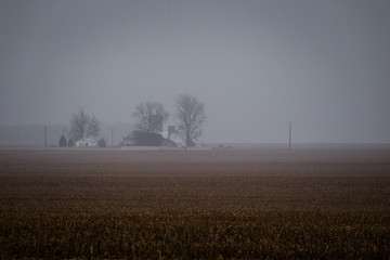 Fog covered field with house in distance