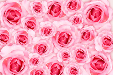 Abstract Background. Fresh flower pink roses wallpaper. love and Valentine's Day.