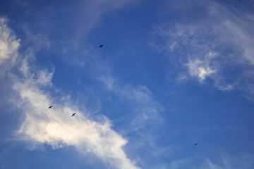 blue sky with clouds