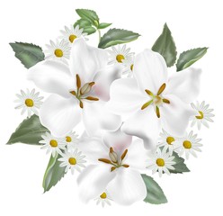 Floral romantic bouquet-Gardenia and daisy  flower vector illustration-vector
