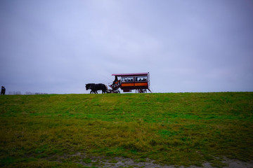Mt. Saint Michel, France. Normandy. Europe  