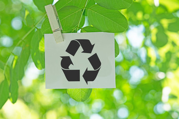 Recycle  
