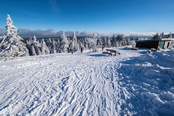 Obraz premium Zima Zieleniec Duszniki-Zdrój