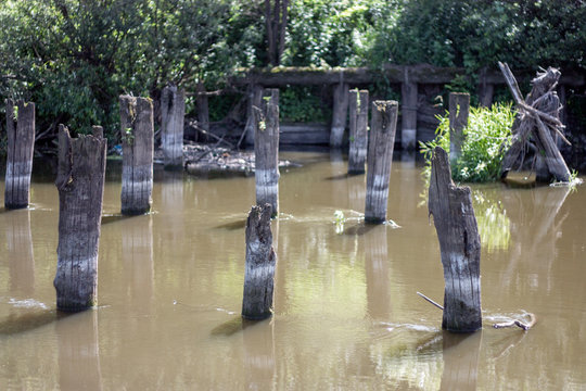 Destroyed bridge on the river. Wooden columns of the old bridge.