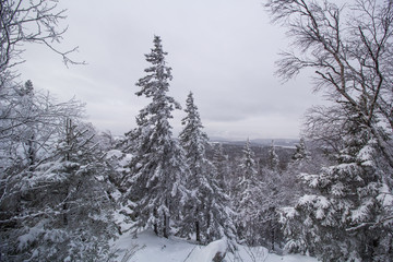 snowy landscape in the mountains