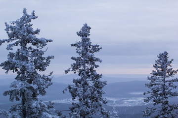 snowy landscape in the mountains