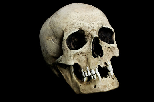 Human skull laid on black background