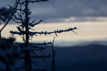 snowy landscape in the mountains