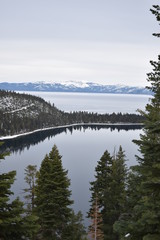 lake in forest