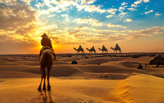 Female tourist on camel safari at the Thar desert Jaisalmer Rajasthan at sunset with view of camel caravan.