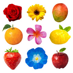 Fruits and Flowers Polygon Illustration