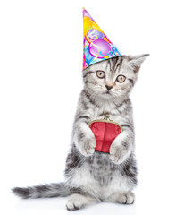 Kitten in party hat with retro wallet on the metal clasp. isolated on white background