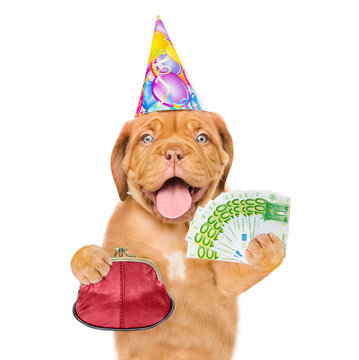 Happy puppy in party hat with retro wallet and euro. isolated on white background