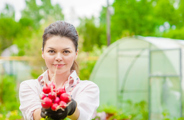 Young woman with a bunch of radish in the garden