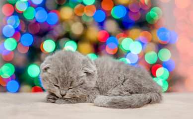 Cute kitten sleep with Christmas tree on background