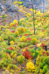 The Fall Scene Around Leavenworth in Washington