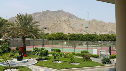 mountains with green trees