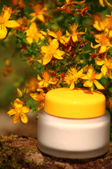 Johanniskraut Creme     Johanniskraut  Naturkosmetik