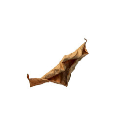 Fototapeta premium dry brown leaf texture on white background