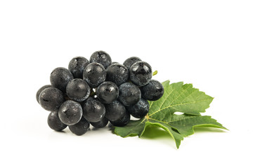Black grape on isolate white background