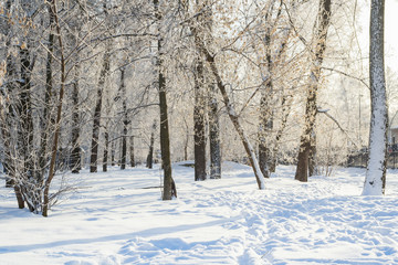 Footprints in the snow in park