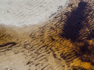 Shallow water at a sand beach surface showing black small water plant underwater.