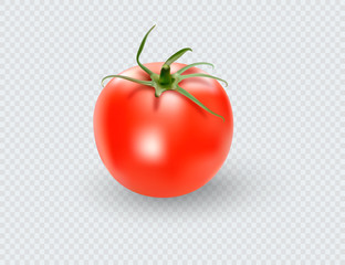 Tomato set. Red tomato collection. Photo-realistic vector tomatoes on transparent background