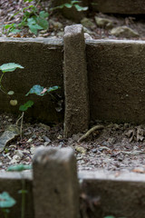 Treppenstufe im Wald