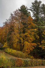 Herbstliche Waldstimmung
