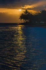Tropical Sunset with Palm Trees in Silhouette