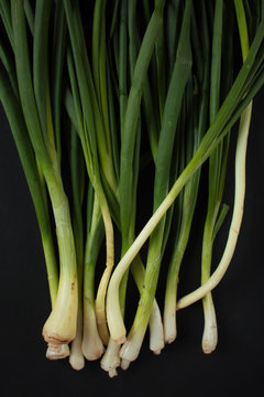 Green onion