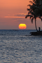 Tropical Sunset with Palm Trees in Silhouette