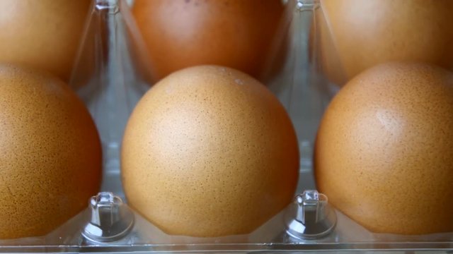 Eggs in an egg carton close up 4K stock footage. dolly shot, sliding camera move